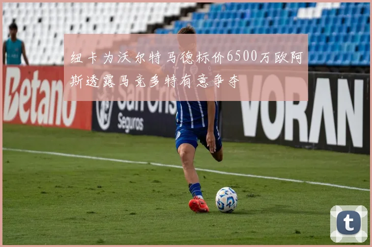 纽卡为沃尔特马德标价6500万欧阿斯透露马竞多特有意争夺
