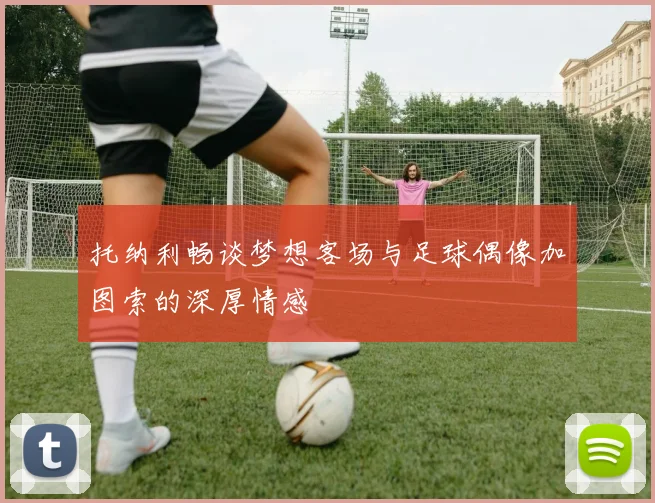 托纳利畅谈梦想客场与足球偶像加图索的深厚情感