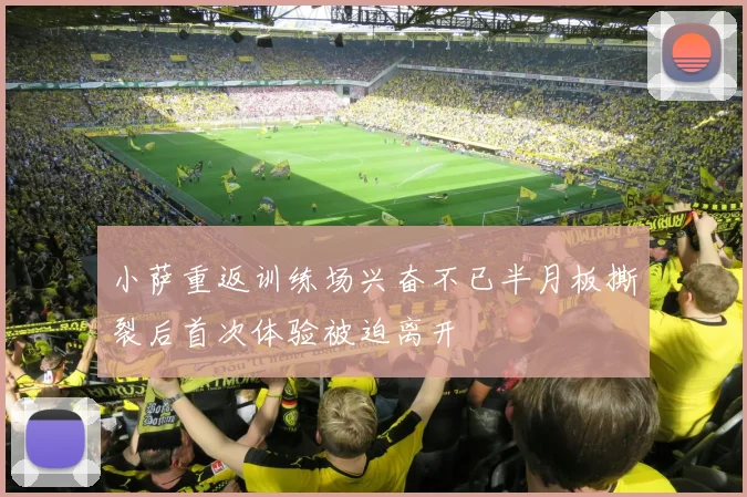 小萨重返训练场兴奋不已半月板撕裂后首次体验被迫离开